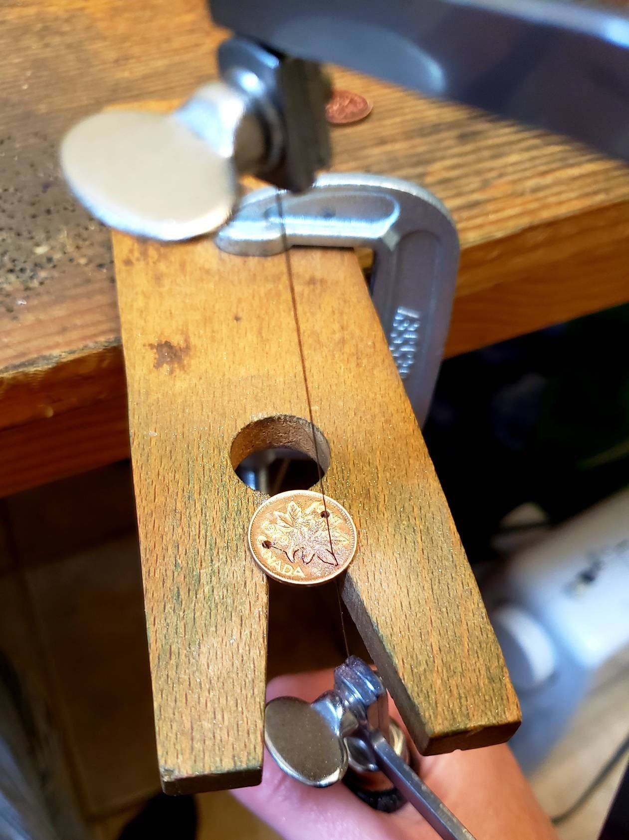 Maple Leaf Penny Stud Earrings