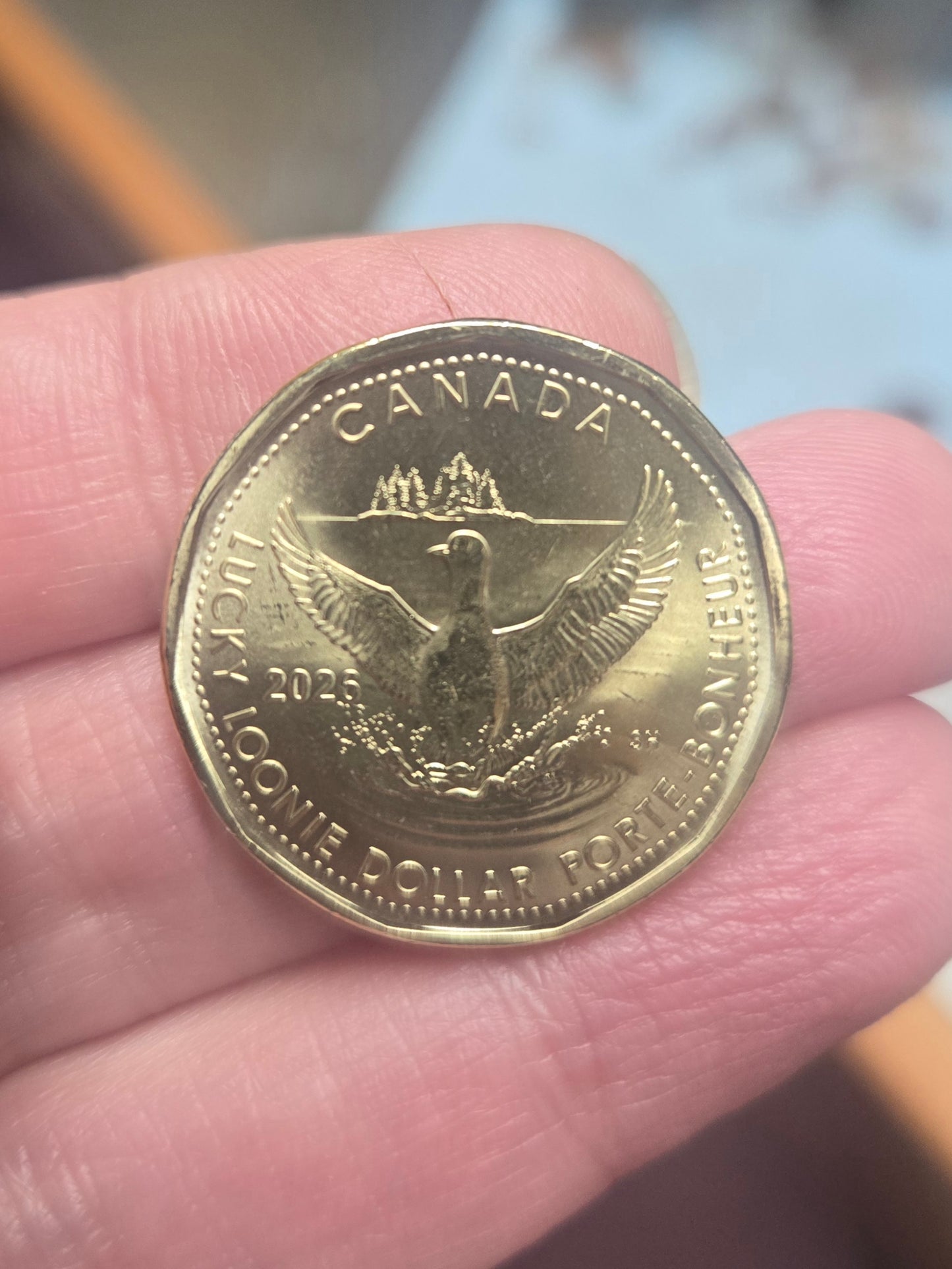 Lucky Loonie Pendant