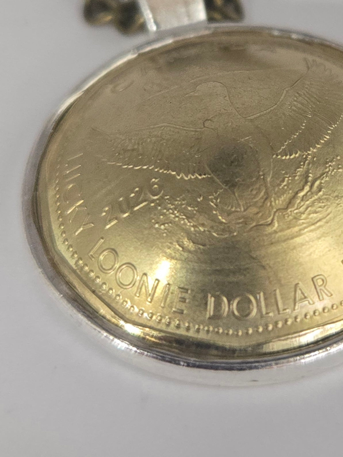 Lucky Loonie Pendant